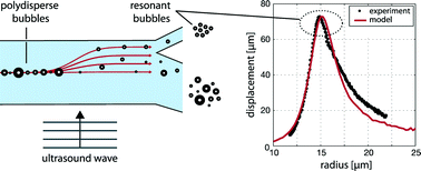 Graphical abstract: Acoustic bubble sorting for ultrasound contrast agent enrichment