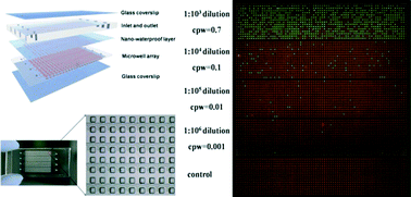 Graphical abstract: Digital PCR on an integrated self-priming compartmentalization chip