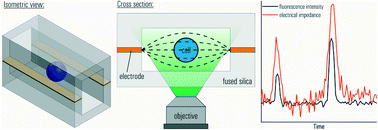 Graphical abstract: A novel side electrode configuration integrated in fused silica microsystems for synchronous optical and electrical spectroscopy