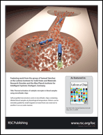 Graphical abstract: Back cover