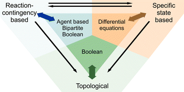 Graphical abstract: Information content and scalability in signal transduction network reconstruction formats