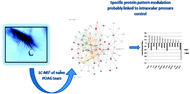 Graphical abstract: Shotgun proteomics reveals specific modulated protein patterns in tears of patients with primary open angle glaucoma naïve to therapy