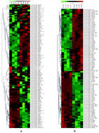 Graphical abstract: Identification of microRNA and bioinformatics target gene analysis in beef cattle intramuscular fat and subcutaneous fat