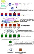 Graphical abstract: Identification of hepatocellular carcinoma related genes with k-th shortest paths in a protein–protein interaction network