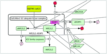 Graphical abstract: Oxidative status interactome map: towards novel approaches in experiment planning, data analysis, diagnostics and therapy