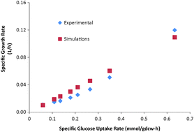 Graphical abstract: In silico modeling and evaluation of Gordonia alkanivorans for biodesulfurization