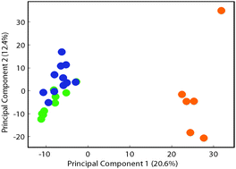 Graphical abstract: Metabonomic investigations of age- and batch-related variations in female NMRI mice using proton nuclear magnetic resonance spectroscopy