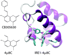 Graphical abstract: Selective inhibition of the unfolded protein response: targeting catalytic sites for Schiff base modification