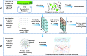 Graphical abstract: Cancer-related marketing centrality motifs acting as pivot units in the human signaling network and mediating cross-talk between biological pathways