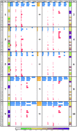 Graphical abstract: Quick, sensitive and specific detection and evaluation of quantification of minor variants by high-throughput sequencing