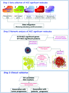 Graphical abstract: Identification of AKT kinases as unfavorable prognostic factors for hepatocellular carcinoma by a combination of expression profile, interaction network analysis and clinical validation