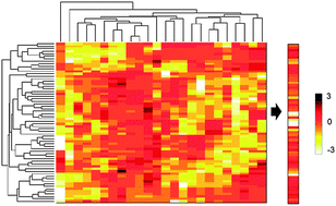 Graphical abstract: Correlating phosphoproteomic signaling with castration resistant prostate cancer survival through regression analysis