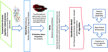 Graphical abstract: Improving enzyme regulatory protein classification by means of SVM-RFE feature selection