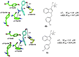 Graphical abstract: Novel 1-(1-benzyl-1H-indol-3-yl)-N,N,N-trimethylmethanaminium iodides are competitive antagonists for the human α4β2 and α7 nicotinic acetylcholine receptors