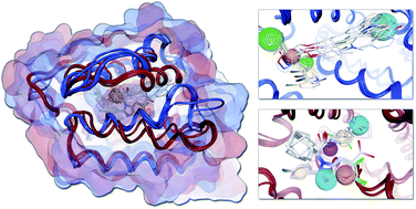 Graphical abstract: Identification of novel farnesoid X receptor modulators using a combined ligand- and structure-based virtual screening