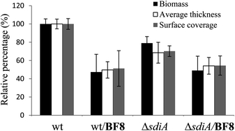 Graphical abstract: Structures and biofilm inhibition activities of brominated furanones for Escherichia coli and Pseudomonas aeruginosa
