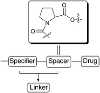 Graphical abstract: Development of a diketopiperazine-forming dipeptidyl Gly-Pro spacer for preparation of an antibody–drug conjugate