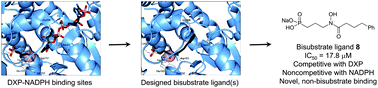 Graphical abstract: Design of potential bisubstrate inhibitors against Mycobacterium tuberculosis (Mtb) 1-deoxy-d-xylulose 5-phosphate reductoisomerase (Dxr)—evidence of a novel binding mode