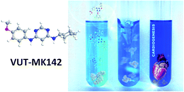 Graphical abstract: VUT-MK142 : a new cardiomyogenic small molecule promoting the differentiation of pre-cardiac mesoderm into cardiomyocytes