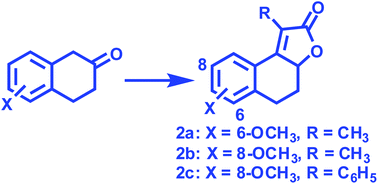 Graphical abstract: Synthesis, microbial transformation, and pharmacological evaluation of 4,5-dihydronaphtho[2,1-b]furan-2-ones and related analogues