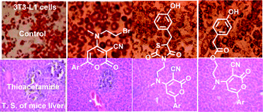 Graphical abstract: Design and synthesis of novel pyranone-based insulin sensitizers exhibiting in vivo hepatoprotective activity