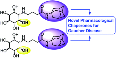 Graphical abstract: Adamantane substituted aminocyclitols as pharmacological chaperones for Gaucher disease