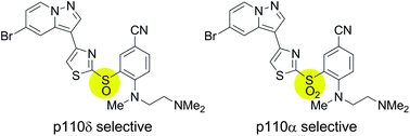 Graphical abstract: Novel pyrazolo[1,5-a]pyridines as PI3K inhibitors: variation of the central linker group