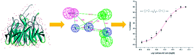 Graphical abstract: Novel protein–protein interaction inhibitor of Nrf2–Keap1 discovered by structure-based virtual screening