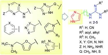 Graphical abstract: Synthesis, SAR and selectivity of 2-acyl- and 2-cyano-1-hetarylalkyl-guanidines at the four histamine receptor subtypes: a bioisosteric approach