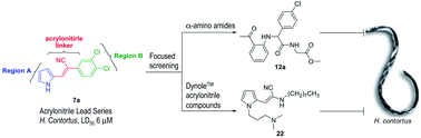 Graphical abstract: Discovery of acrylonitrile-based small molecules active against Haemonchus contortus