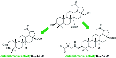 Graphical abstract: Heterocycle-fused lupane triterpenoids inhibit Leishmania donovani amastigotes