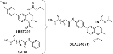 Graphical abstract: The structure based design of dual HDAC/BET inhibitors as novel epigenetic probes