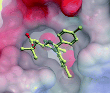 Graphical abstract: Discovery of BET bromodomain inhibitors and their role in target validation