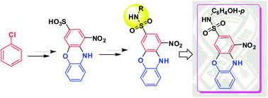 Graphical abstract: Construction of phenoxazine rings containing nitro and sulfonic acid groups leading to phenoxazine-3-sulfonamide derivatives: their evaluation as novel and potential insulin secretagogues