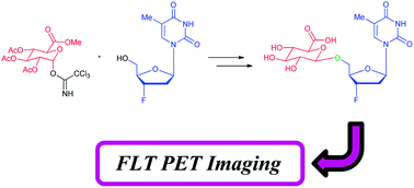 Graphical abstract: Synthesis of 3′-deoxy-3′-fluorothymidine (FLT) 5′-O-glucuronide: a reference standard for imaging studies with [18F]FLT