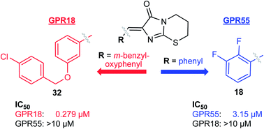 Graphical abstract: Bicyclic imidazole-4-one derivatives: a new class of antagonists for the orphan G protein-coupled receptors GPR18 and GPR55