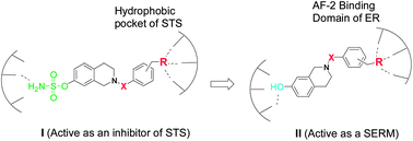 Graphical abstract: Investigation of a tetrahydroisoquinoline scaffold as dual-action steroid sulfatase inhibitors generated by parallel solid-phase synthesis