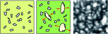 Graphical abstract: A simple route towards graphene oxide frameworks