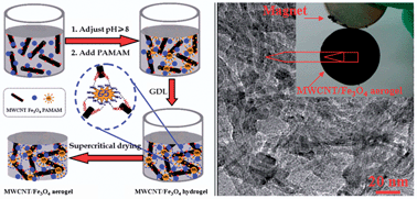 Graphical abstract: Dendrimer-linked, renewable and magnetic carbon nanotube aerogels