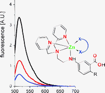 Graphical abstract: Ternary complex formation and competition quench fluorescence of ZnAF family zinc sensors