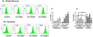 Graphical abstract: Depleted uranium induces disruption of energy homeostasis and oxidative stress in isolated rat brain mitochondria