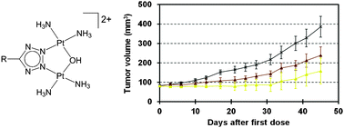 Graphical abstract: Synthesis of antitumor azolato-bridged dinuclear platinum(ii) complexes with in vivo antitumor efficacy and unique in vitro cytotoxicity profiles