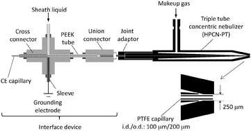 Graphical abstract: A coupling system of capillary gel electrophoresis with inductively coupled plasma-mass spectrometry for the determination of double stranded DNA fragments