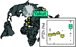 Graphical abstract: Is aging recorded in blood Cu and Zn isotope compositions?