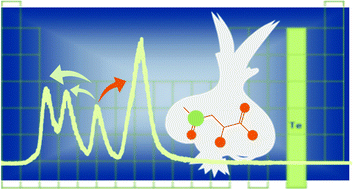 Graphical abstract: Speciation and identification of tellurium-containing metabolites in garlic, Allium sativum