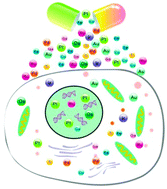 Graphical abstract: Metallomics insights into the programmed cell death induced by metal-based anticancer compounds