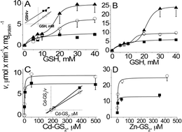 Graphical abstract: Zn-bis-glutathionate is the best co-substrate of the monomeric phytochelatin synthase from the photosynthetic heavy metal-hyperaccumulator Euglena gracilis