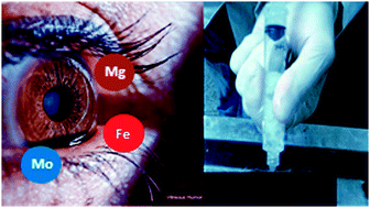 Graphical abstract: Metals and (metallo)proteins identification in vitreous humor focusing on post-mortem biochemistry