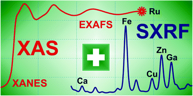 Graphical abstract: The use of X-ray absorption and synchrotron based micro-X-ray fluorescence spectroscopy to investigate anti-cancer metal compounds in vivo and in vitro