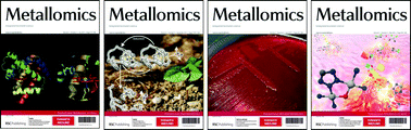 Graphical abstract: Metallomics – a new look for a New Year!